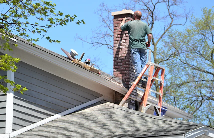 Chimney & Fireplace Inspections Services in Lakeland, FL
